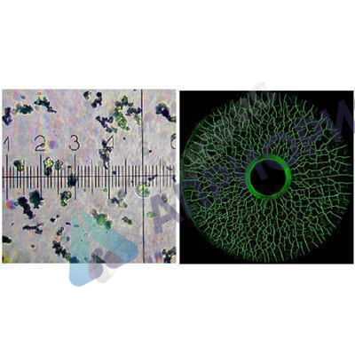 helling super magna ly 2500 концентрат